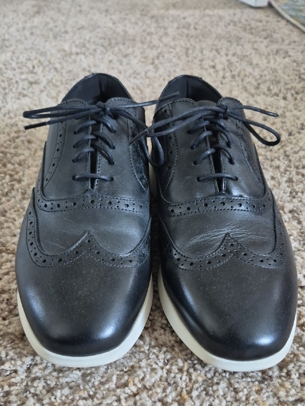 Wolf & Shepherd - Dress Wingtip Sneakers